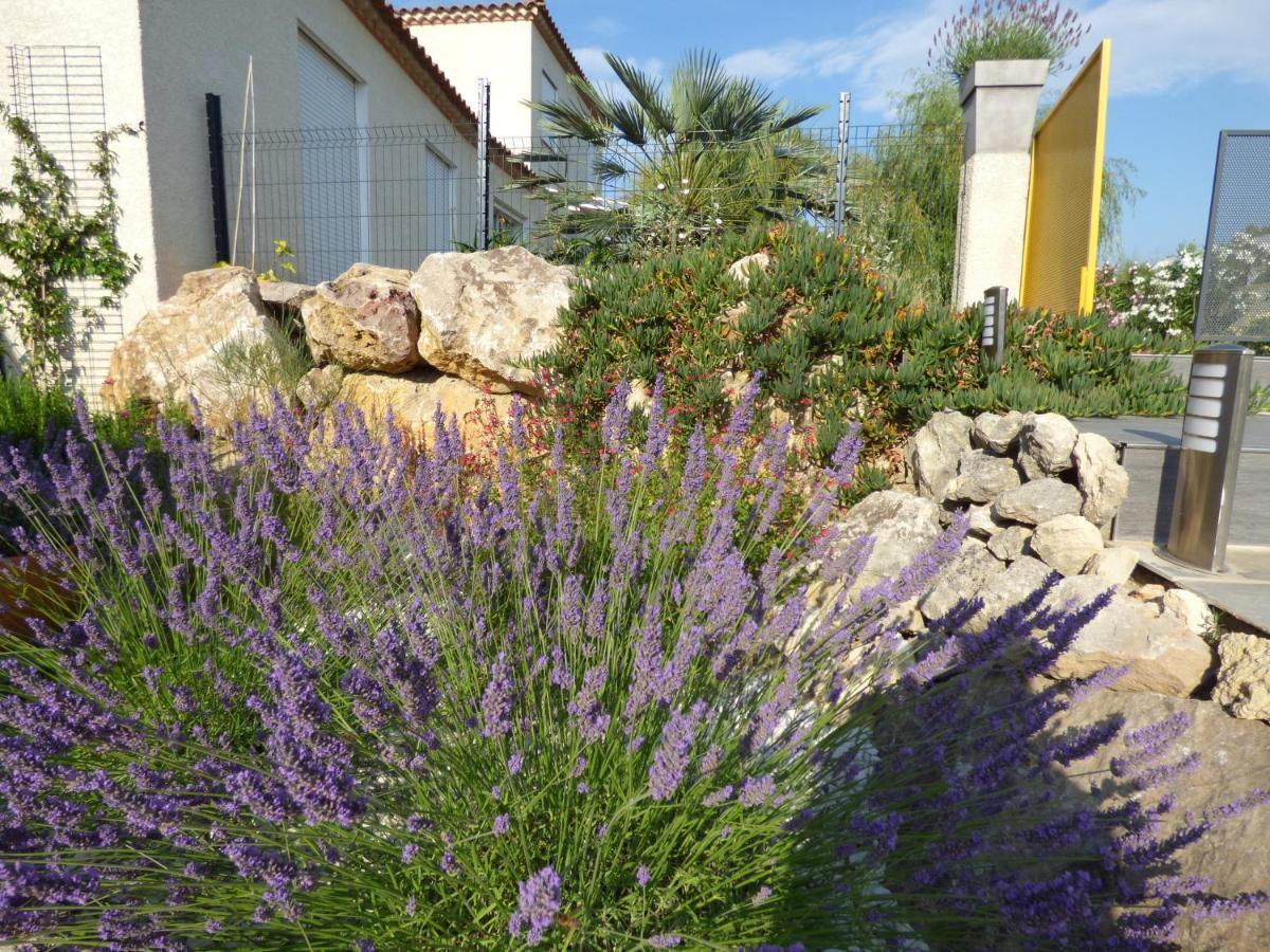 La Villa Du Saule Salles-dʼAude Exterior foto